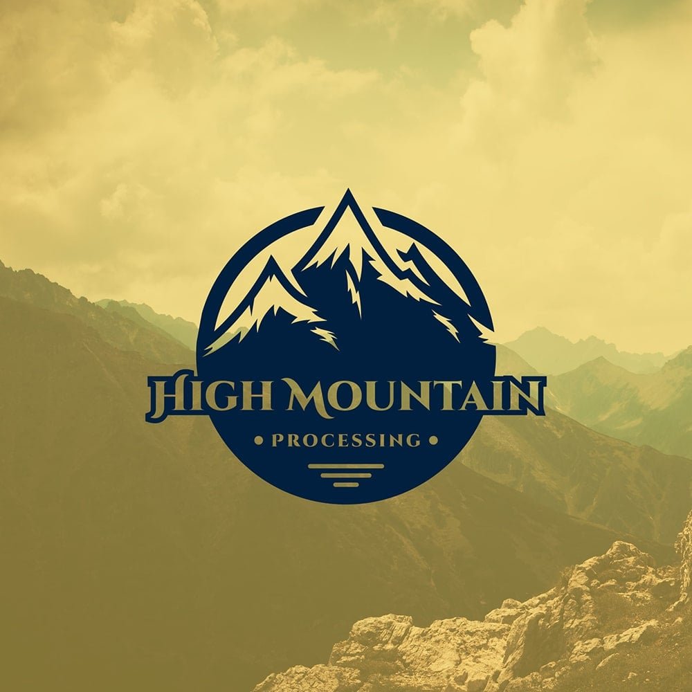 Portfolio Logo