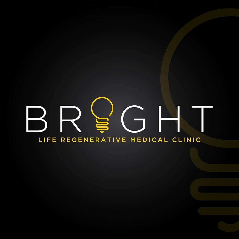 Portfolio Logo